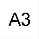 A3