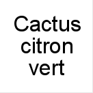 Cactus+citron+vert