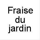 Fraise+du+jardin