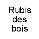 Rubis+des+bois